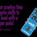 Flashback Looper Pedal